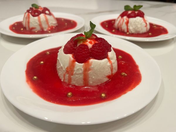 Frambozen panna cotta (lactose vrij)